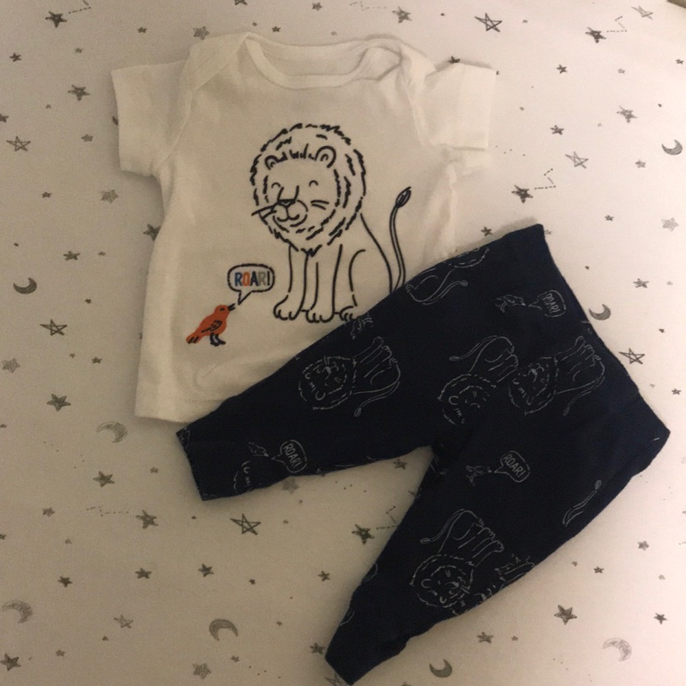 Lion set